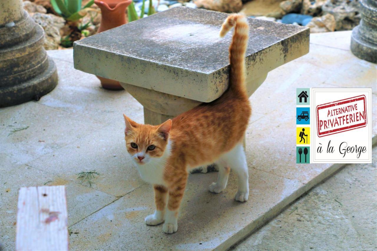 Isminis Petroktisto Holidays Stonehouse Palechori ภายนอก รูปภาพ